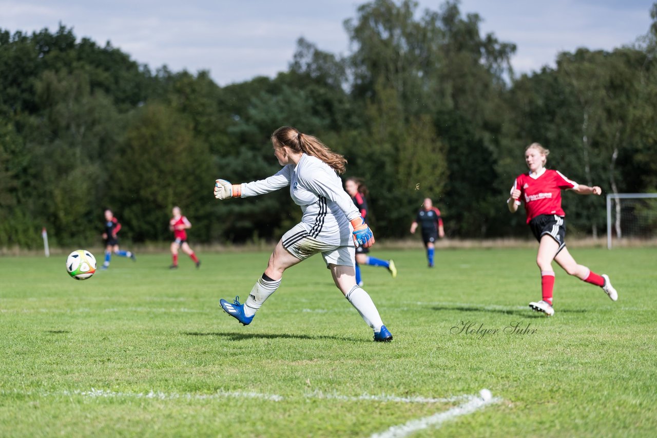 Bild 291 - Frauen SG NieBar - HSV 2 : Ergebnis: 4:3